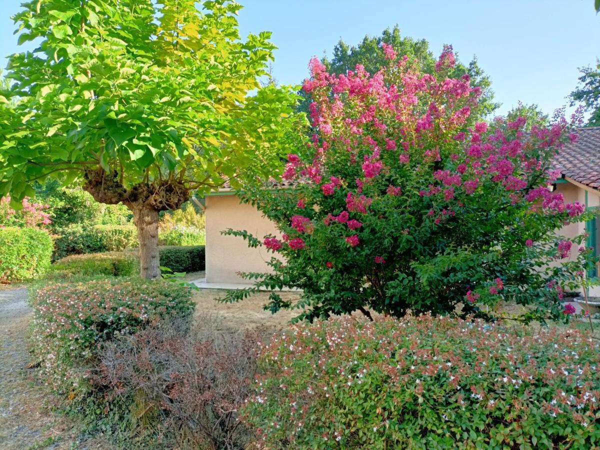 Villa 8 Personnes O Mes Anges Saint-Julien-en-Born Exterior photo